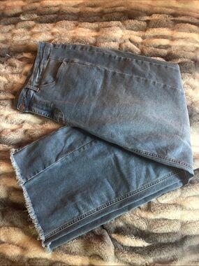 High-Rise Wide Leg Flare Jeans in Faded Blue